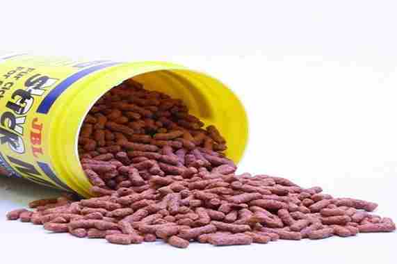 تصویر 2 از خرید خوراک ماهی زینتی + قیمت فروش استثنایی